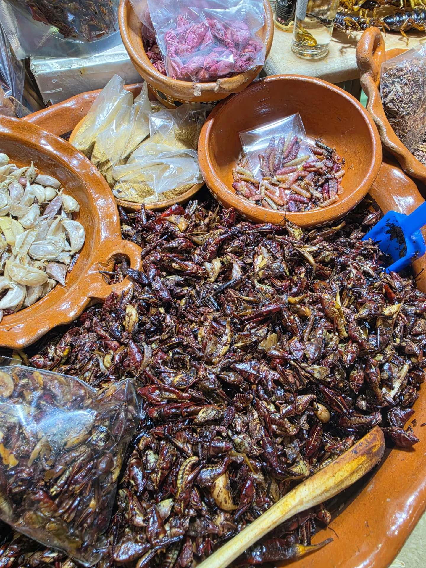 Selected photograph for Day 5: The Market